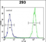 OR10H1 Antibody (C-term)